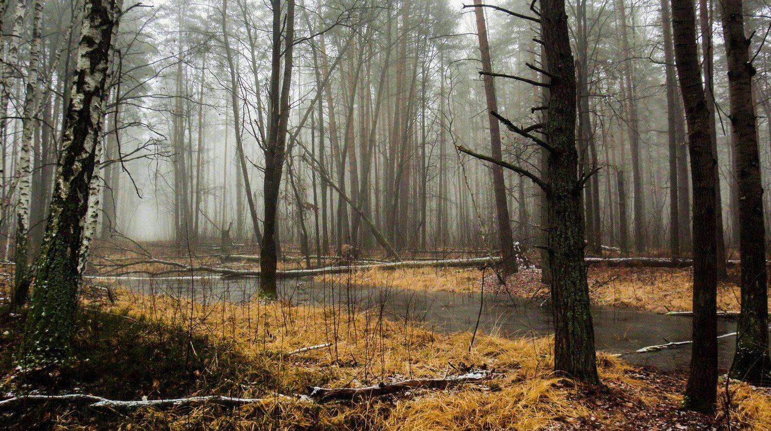 , Руслан Востриков