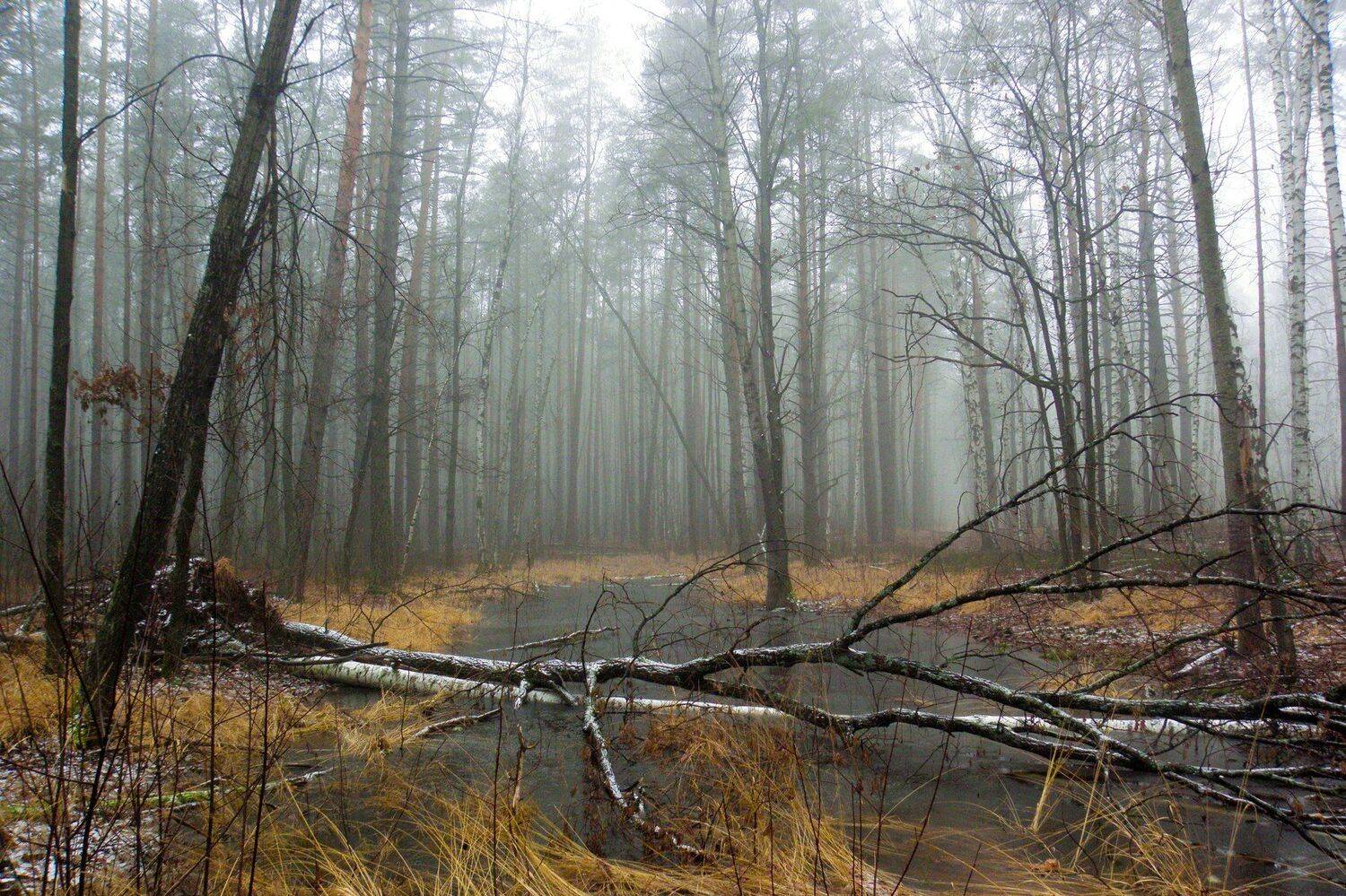 , Руслан Востриков