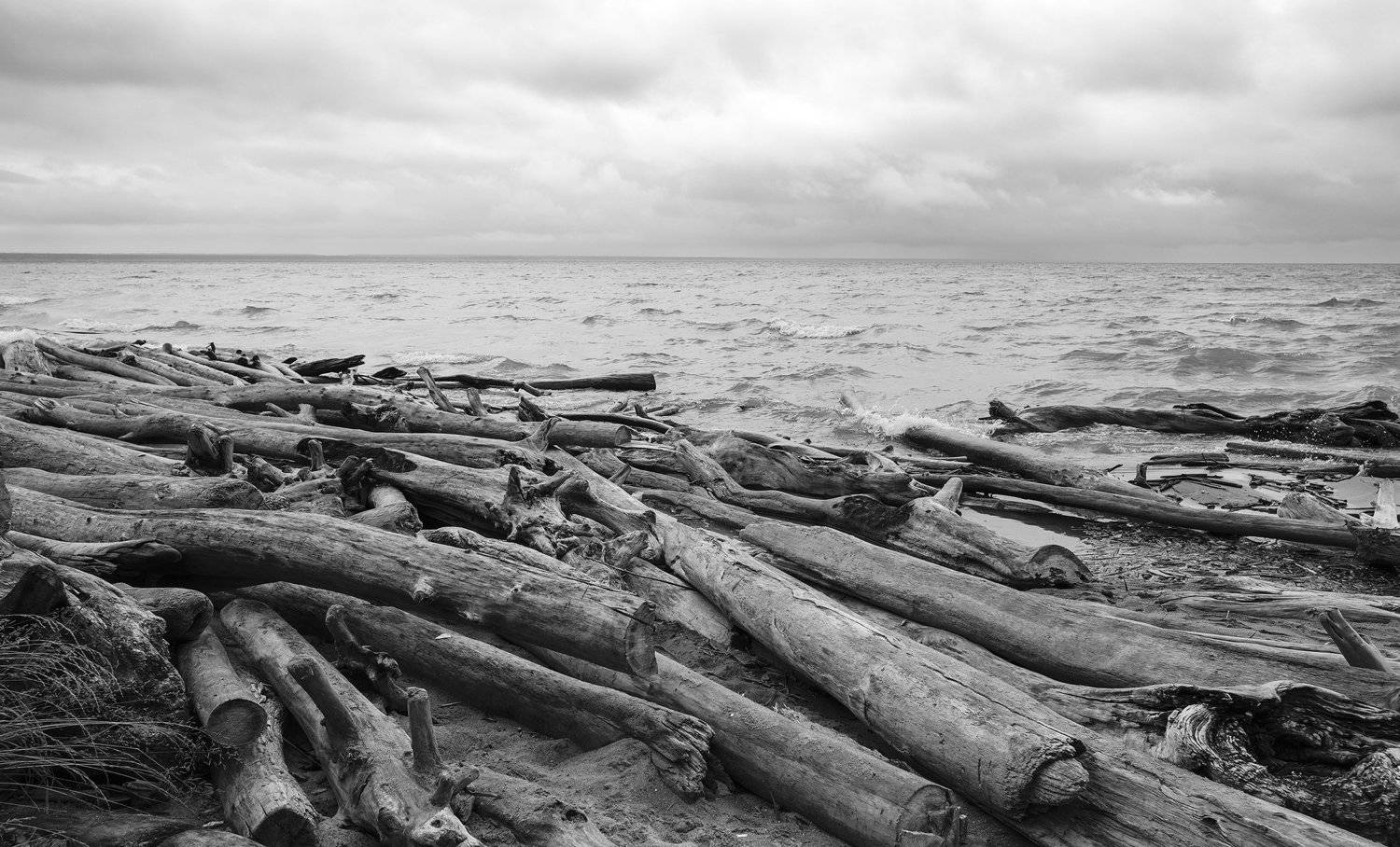 Море, бревна, пляж, alexey_poley