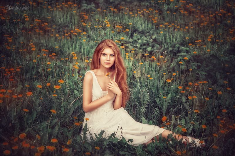 девушка, портрет, одуванчики, лето, поле, girl, portreit, summer, field, flowers  фото превью