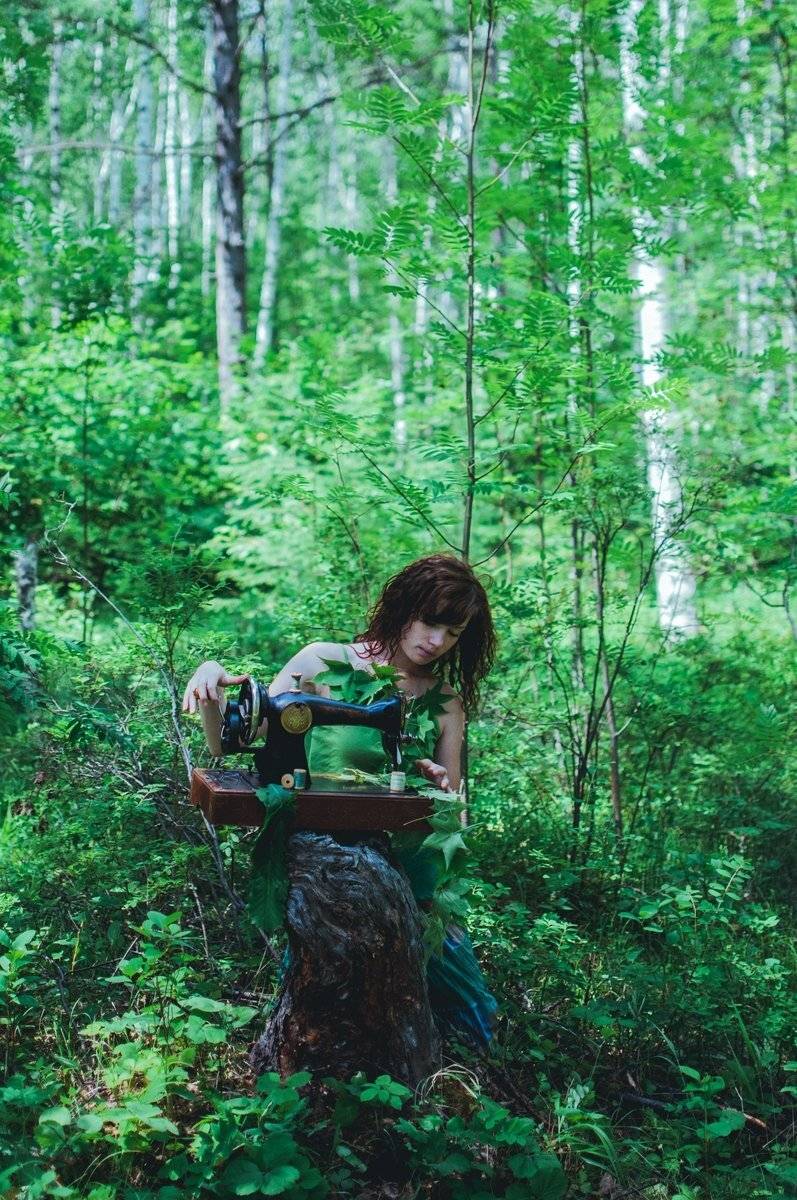 , Евгений Соколов