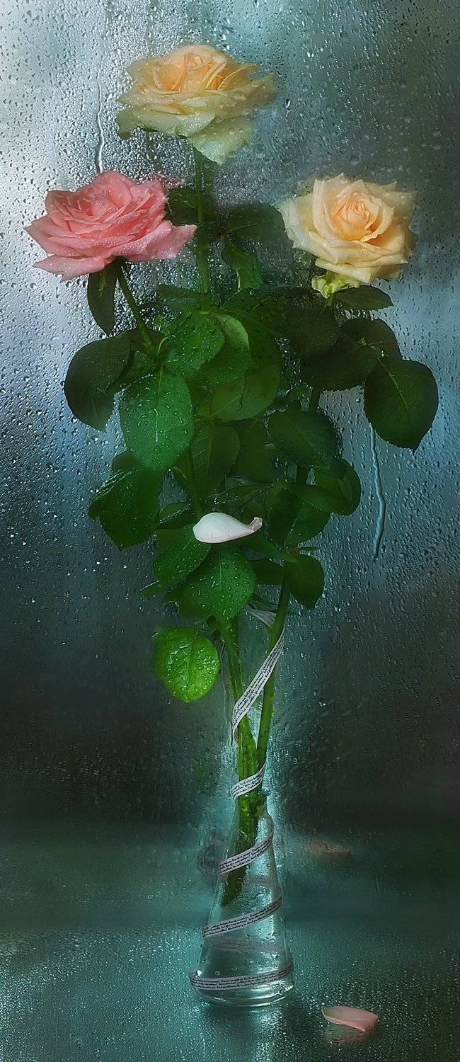 , Айснер Юлия