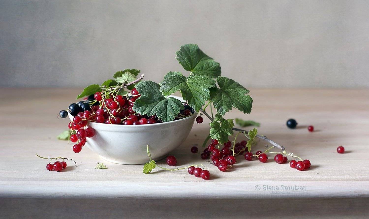 лето, смородина, ягоды, Елена Татульян
