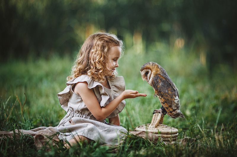 Совушка фото превью