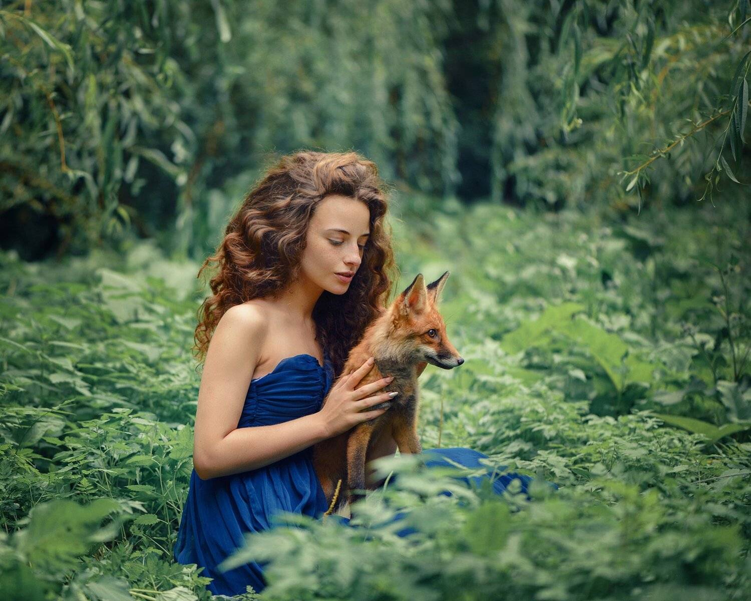 , Анастасия Добровольская