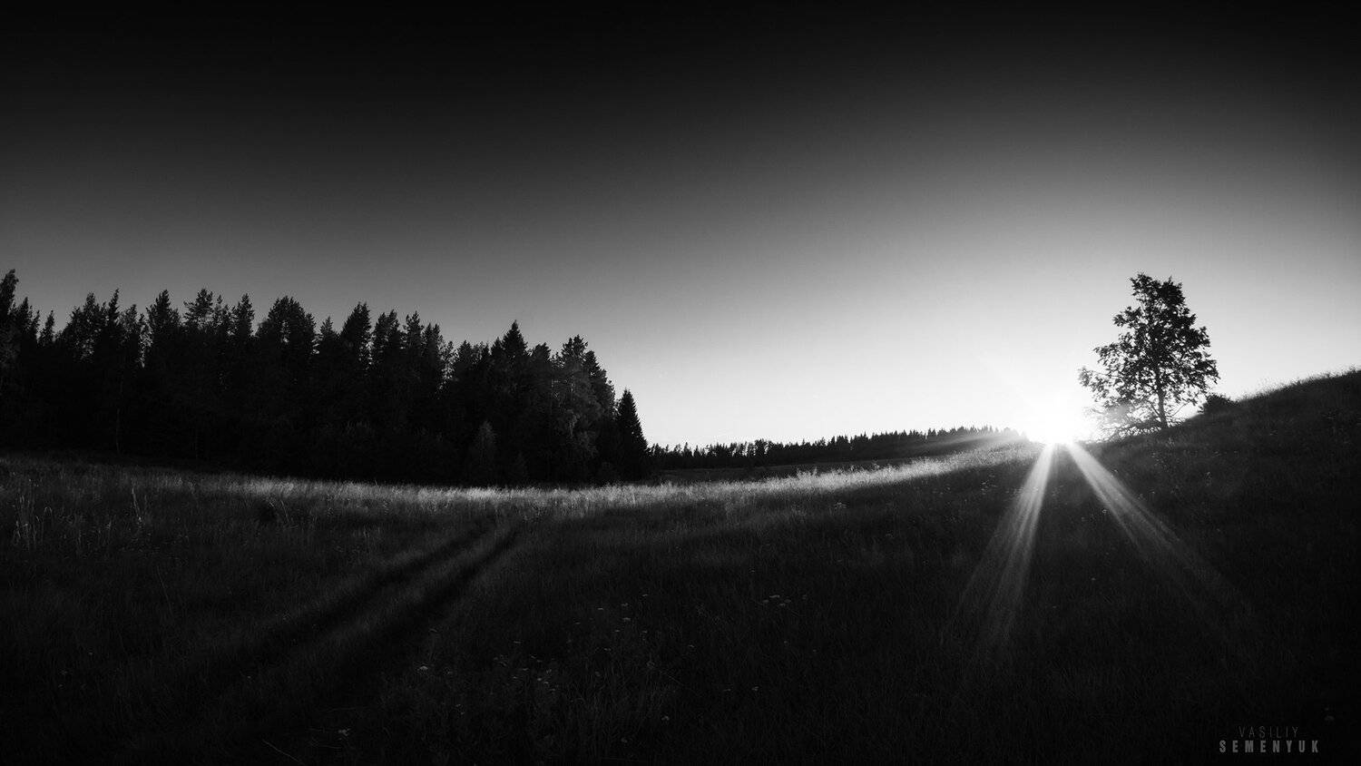 карелия, пейзаж, лес, поле, лето, солнце, закат, ч/б., Семенюк Василий