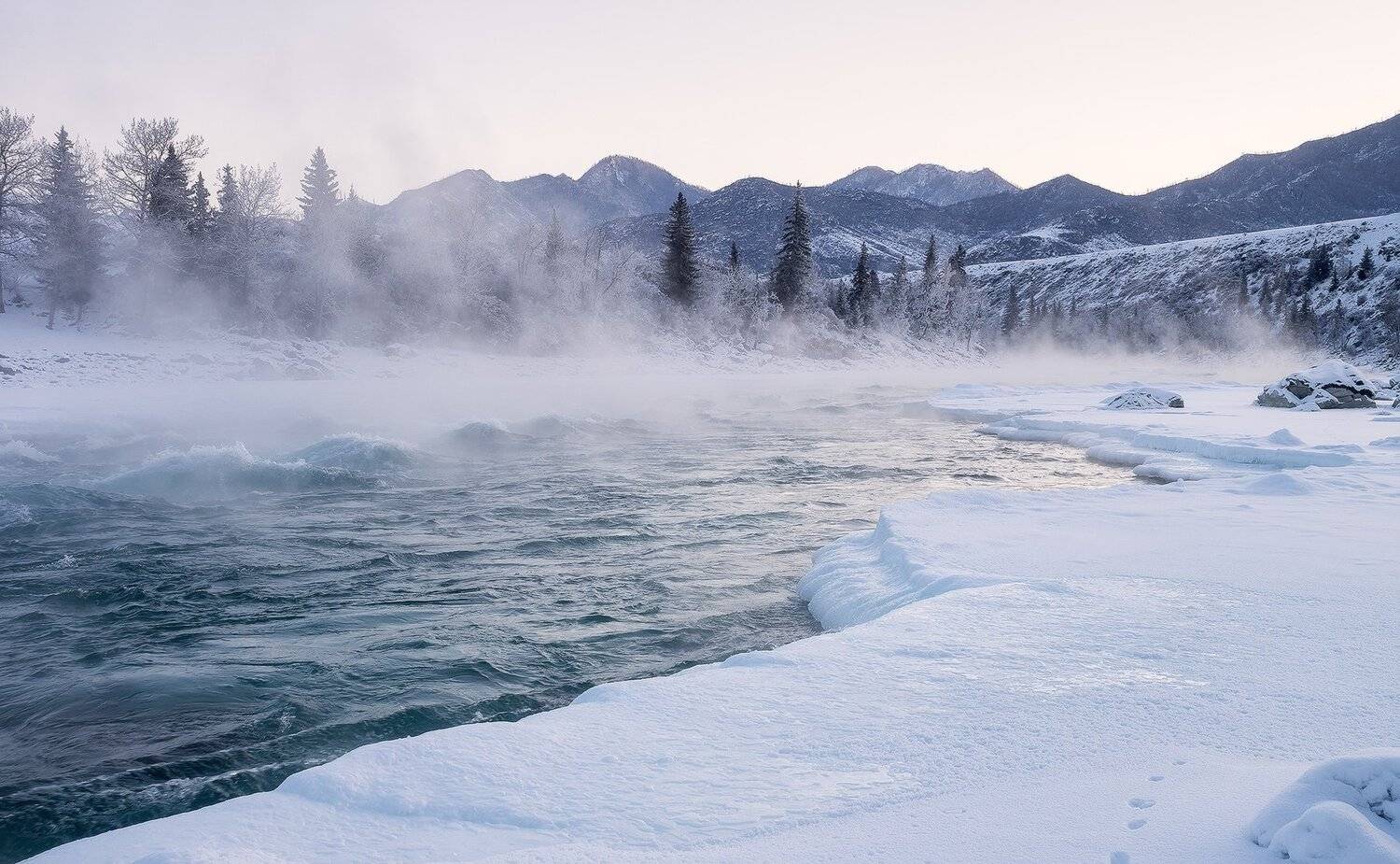 , Лещёнок Александр