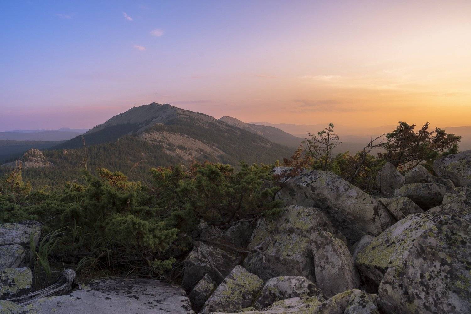 , Андрей Шарапов