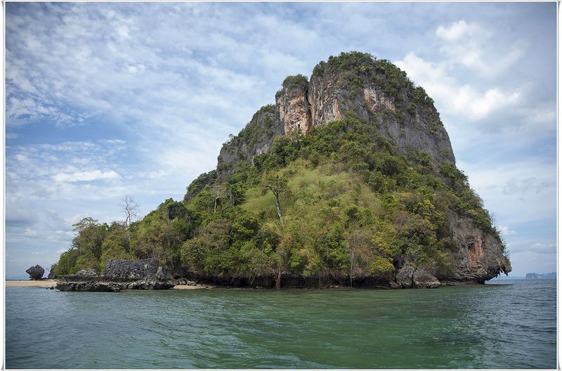 Весь покрытый зеленью фото превью