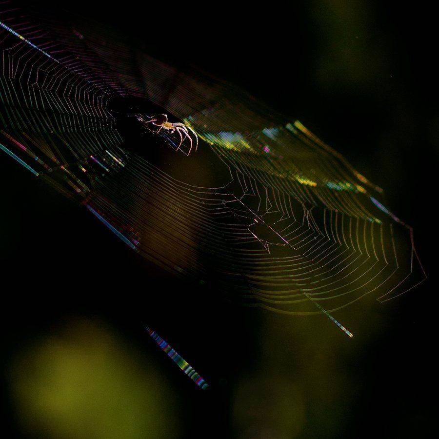 , Валерий Субачев