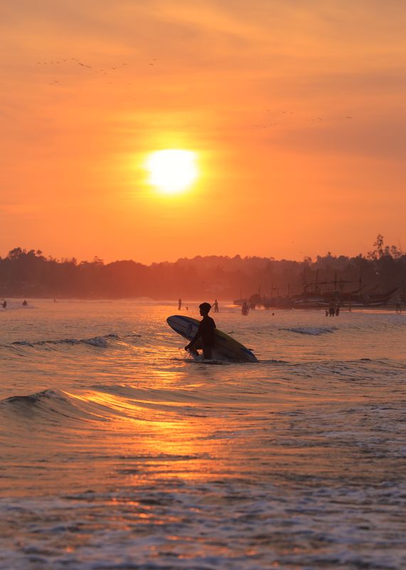 шри-ланка, велигама, закат, спот, серфинг, лето уходит) Закат на Велигаме. фото превью