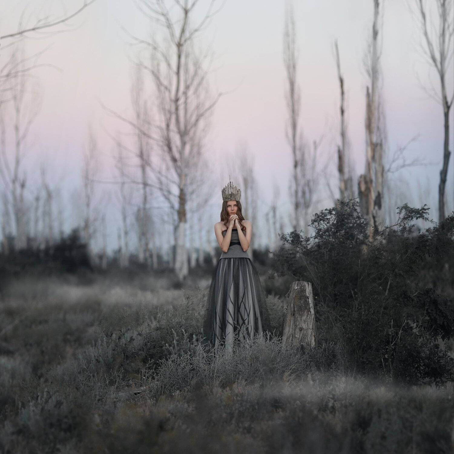 королева мертвого леса, мертвый лес, сухие деревья, мертвые деревья, dead forest, Ирина Голубятникова