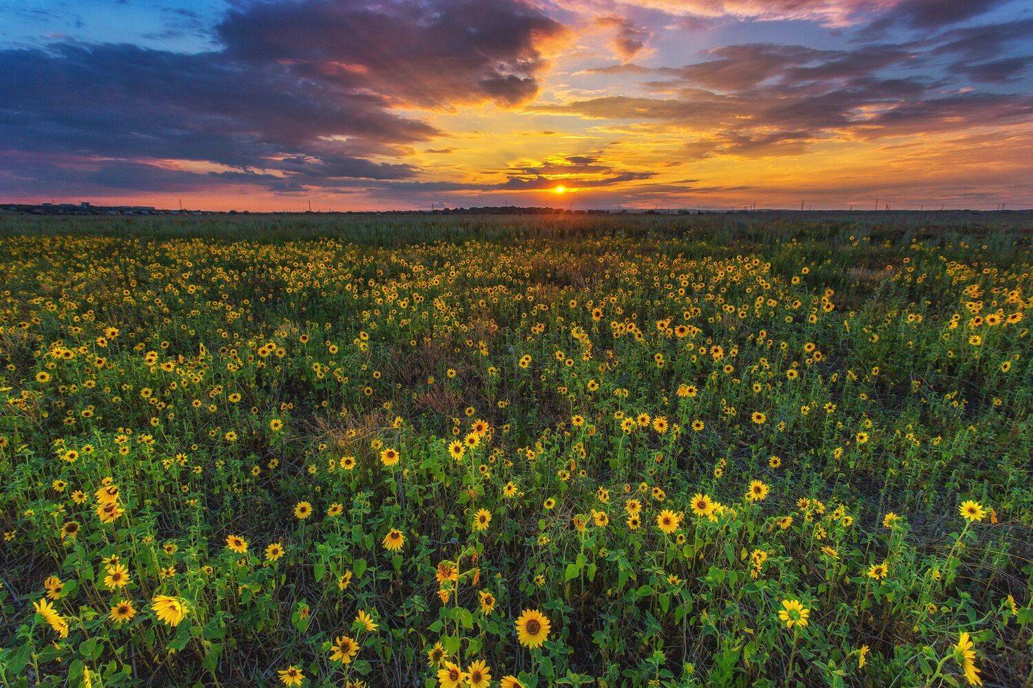 , Павел Сагайдак