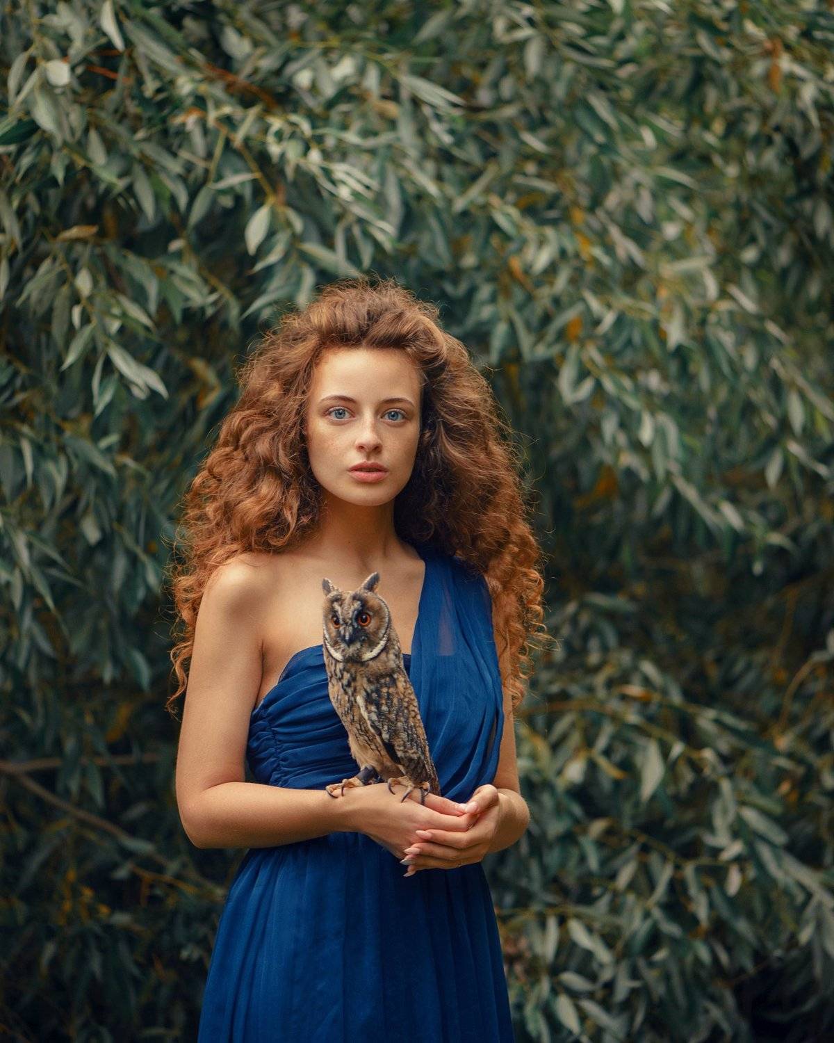 , Анастасия Добровольская