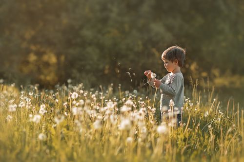 Мальчик-одуванчик