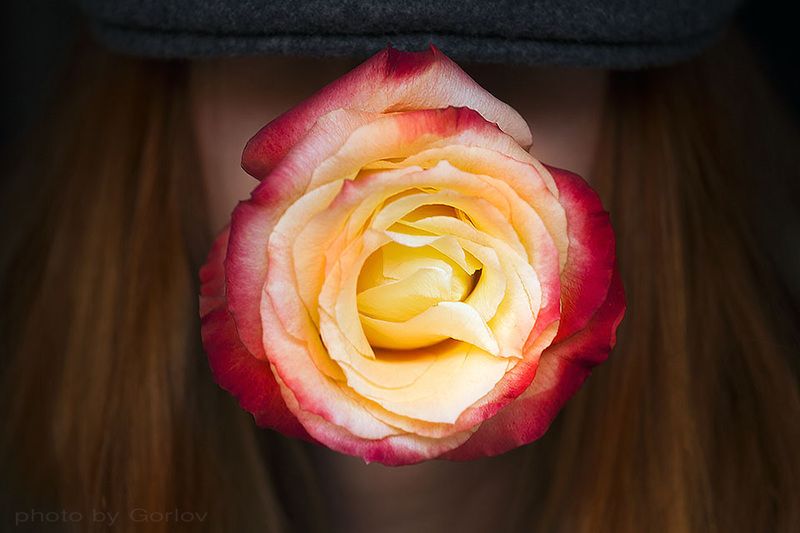 rose, snake, tongue, portrait, retro, hat, vintage, red * фото превью