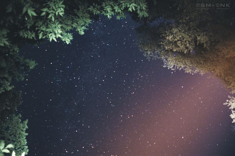 космос, небо, звезды, лес, деревья, свет, мир, красота Окно в далекий мир фото превью