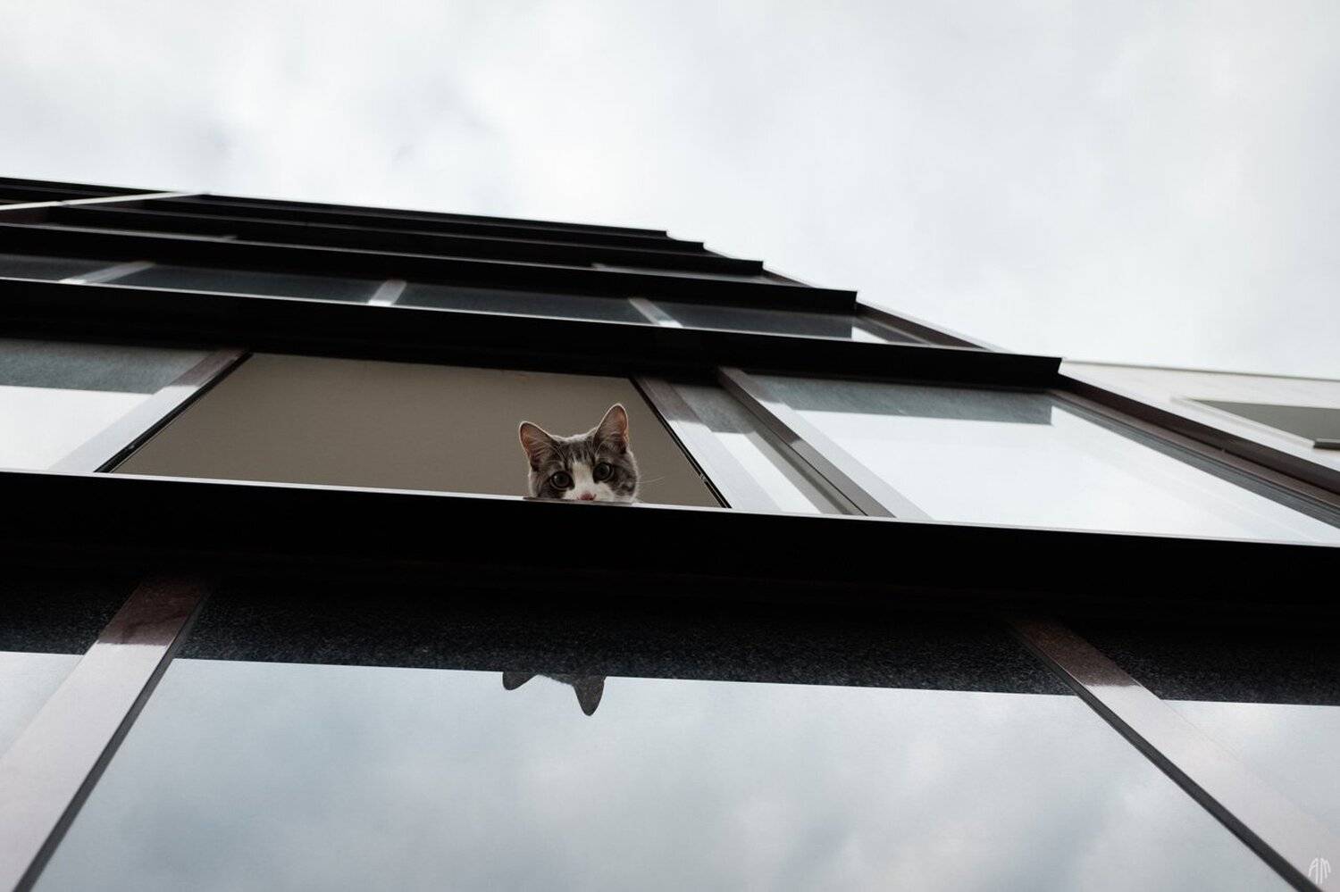 уличная фотография, streetphotography,, Александр Малафеевский