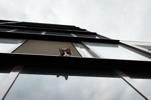 Новая квартира