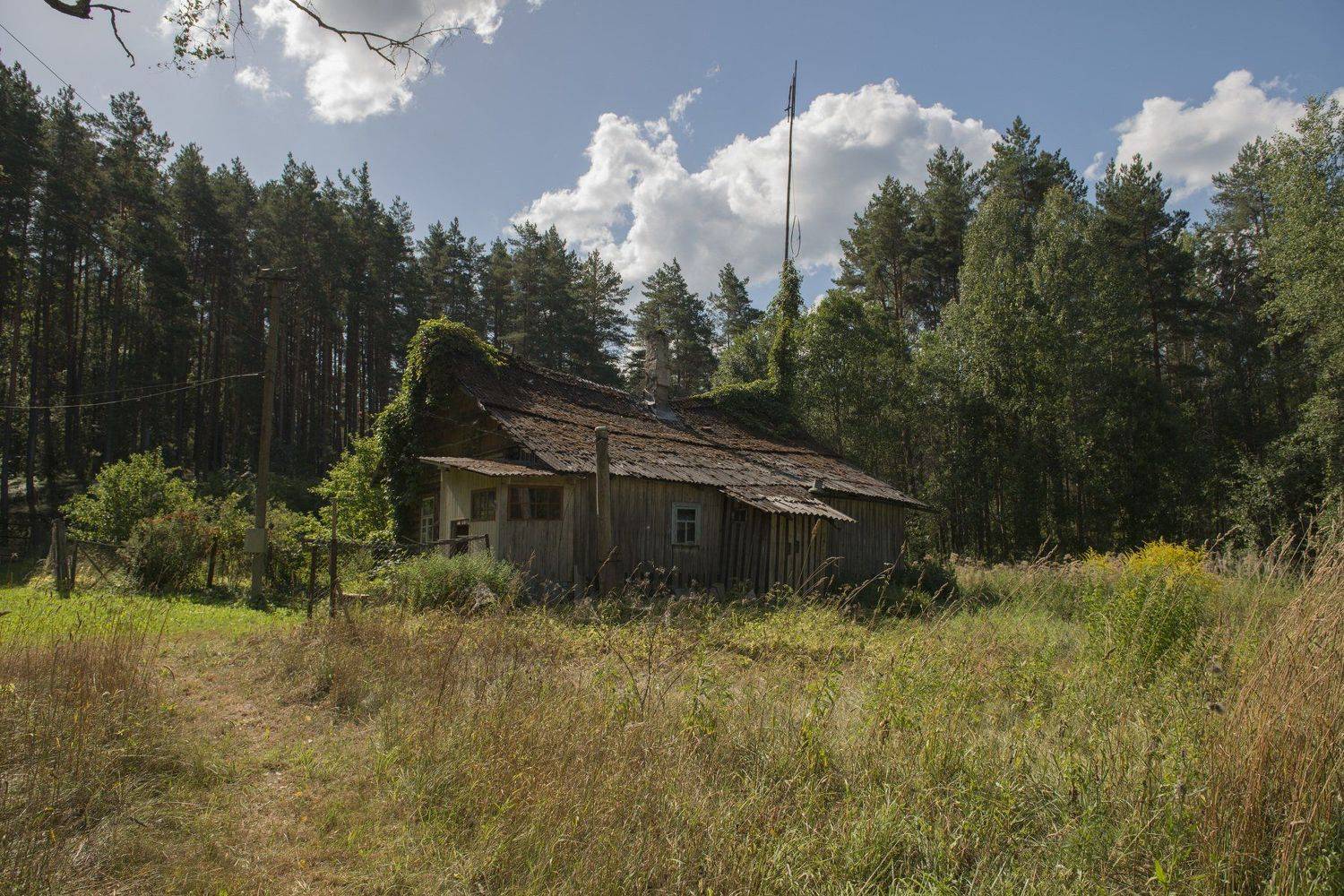 псков, Ирина