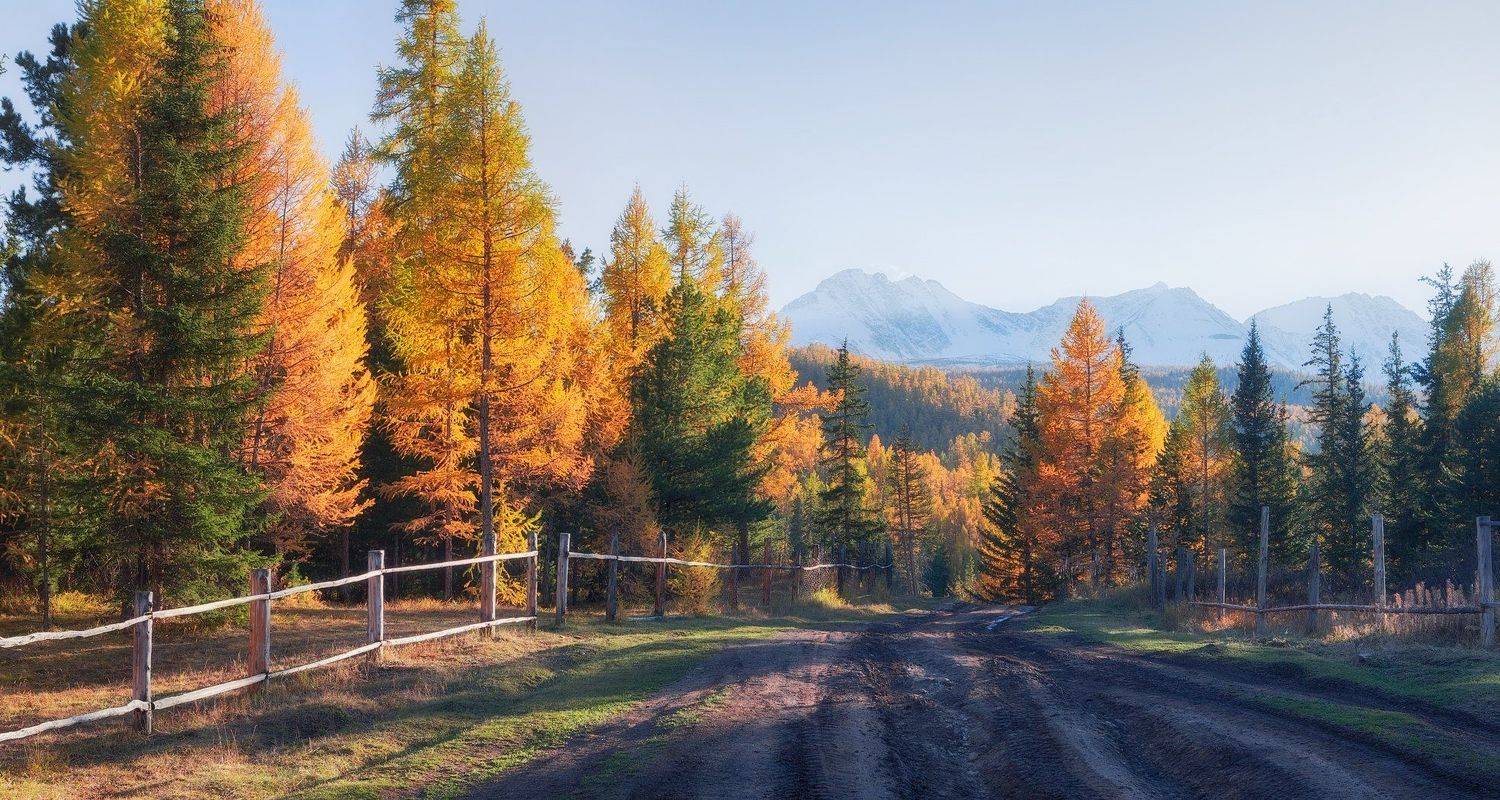 алтай, Владимир Липецких