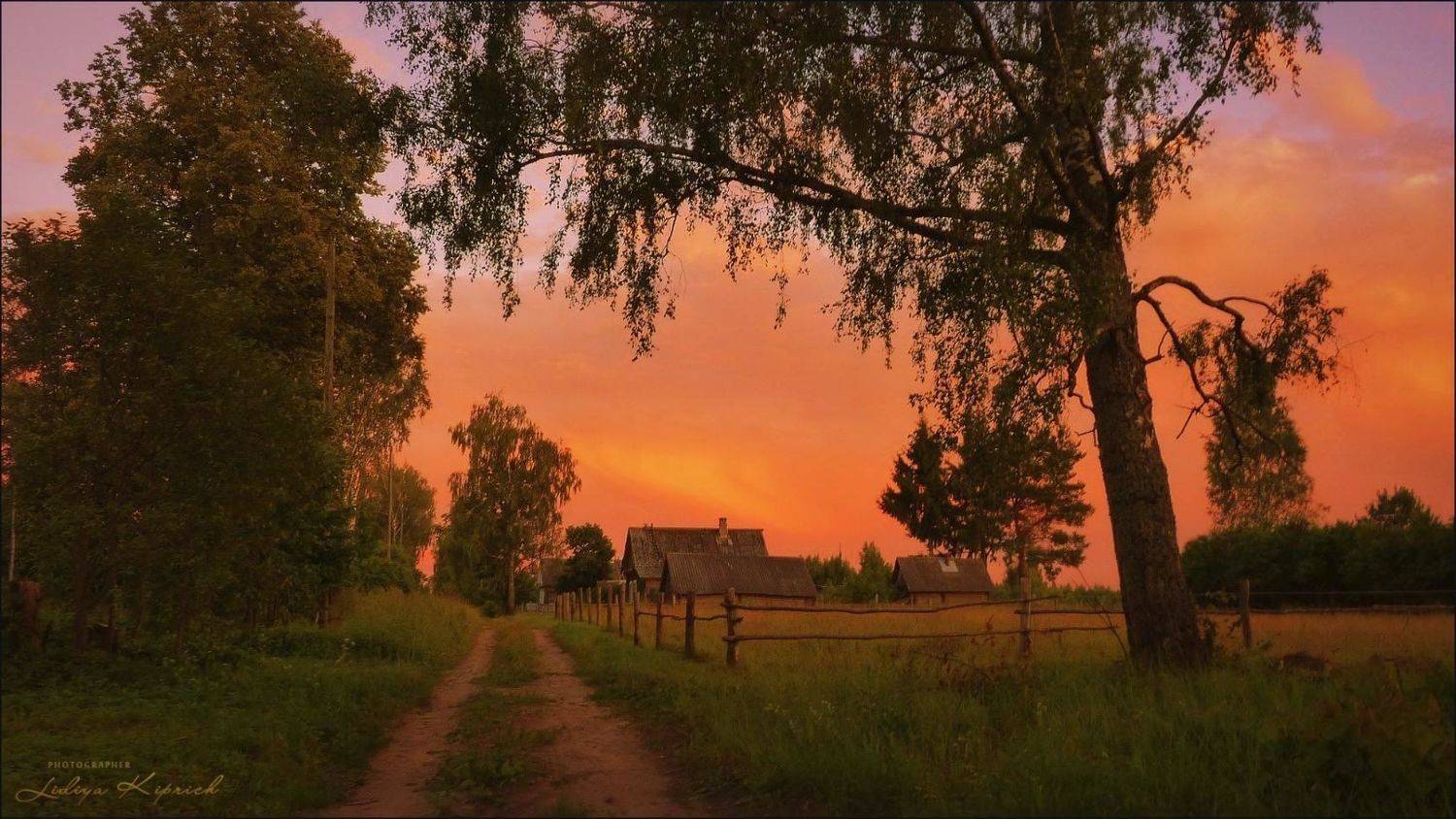 пейзаж, деревенская жизнь, лето, вечер,, Лидия Киприч