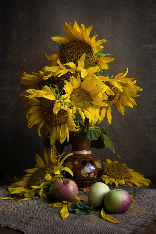 фото , цвет , натюрморт , подсолнух , флора , яблоки , ваза Август фото превью