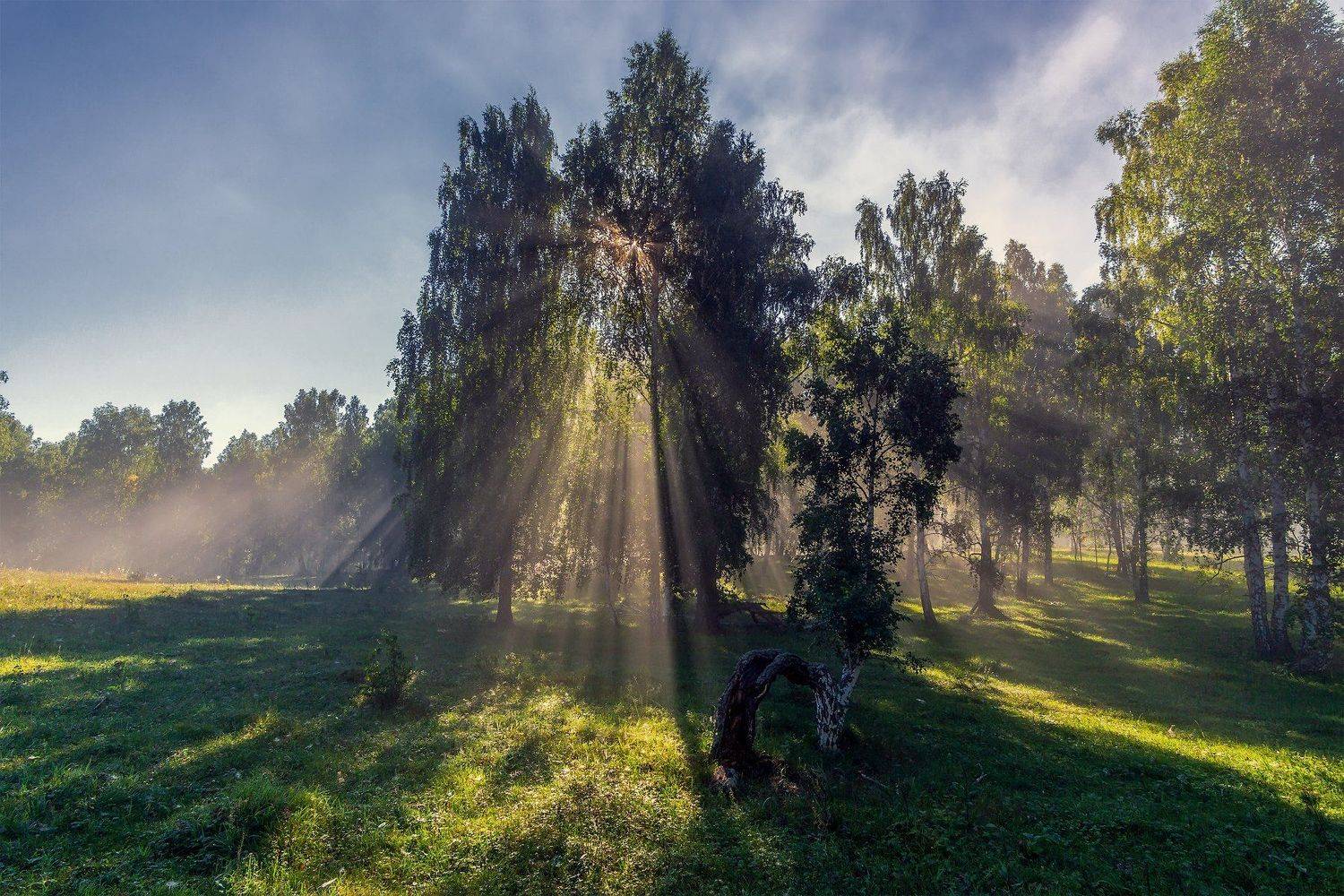 утро, рассвет, восход, туман, лучи, Леонид Максименко