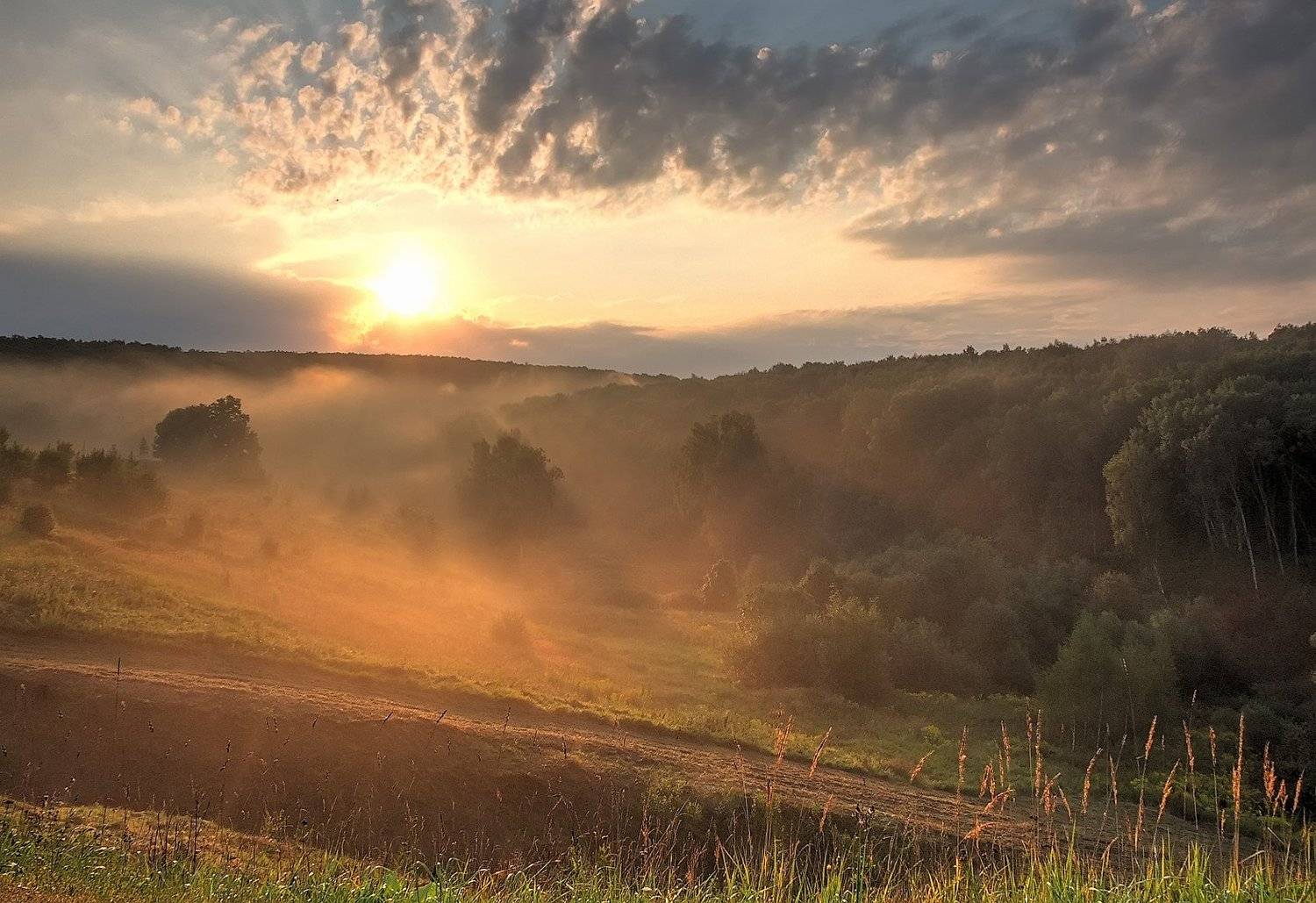 , Владлен Халимов