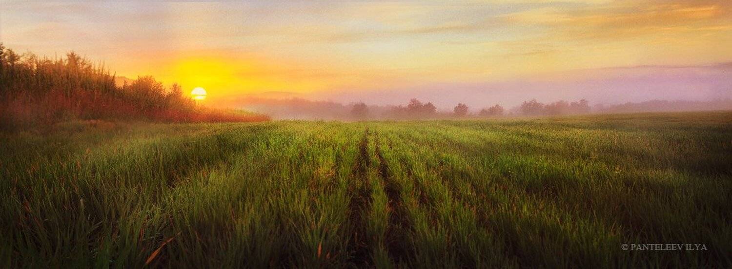 , Пантелеев Илья