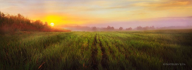 *** фото превью