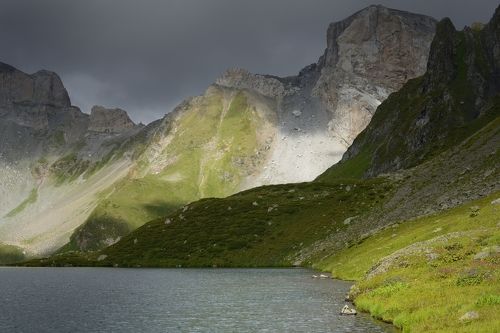 Световые представления