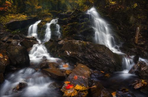 Слезы Земли ..