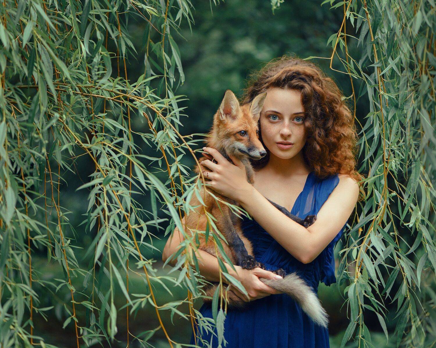 , Анастасия Добровольская