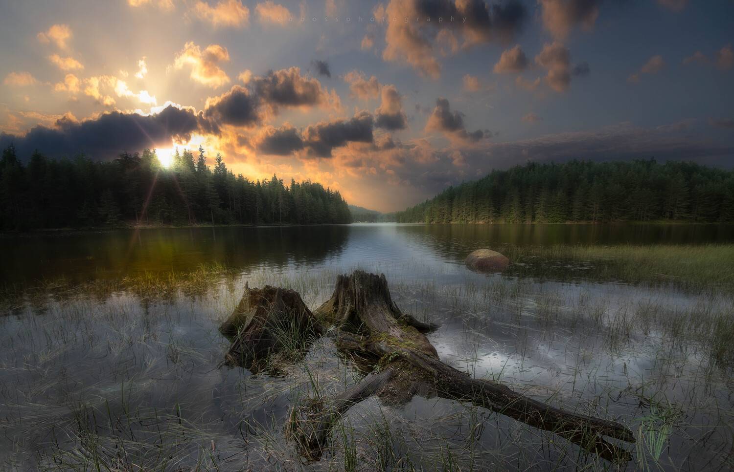 , Ivailo Bosev