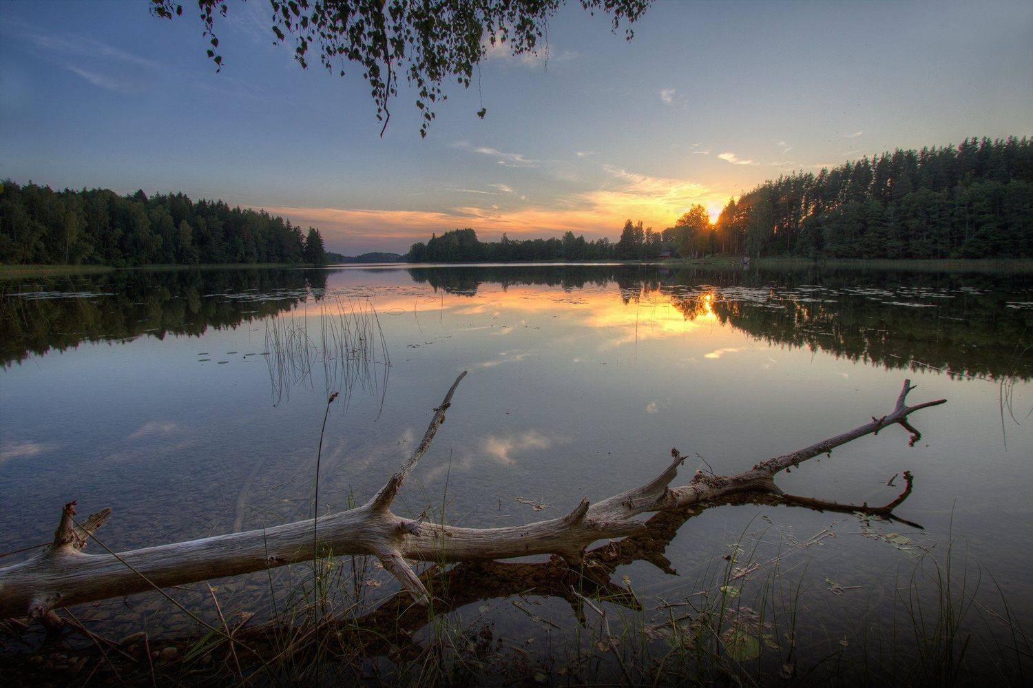 , Marius Gailiu&scaron;is