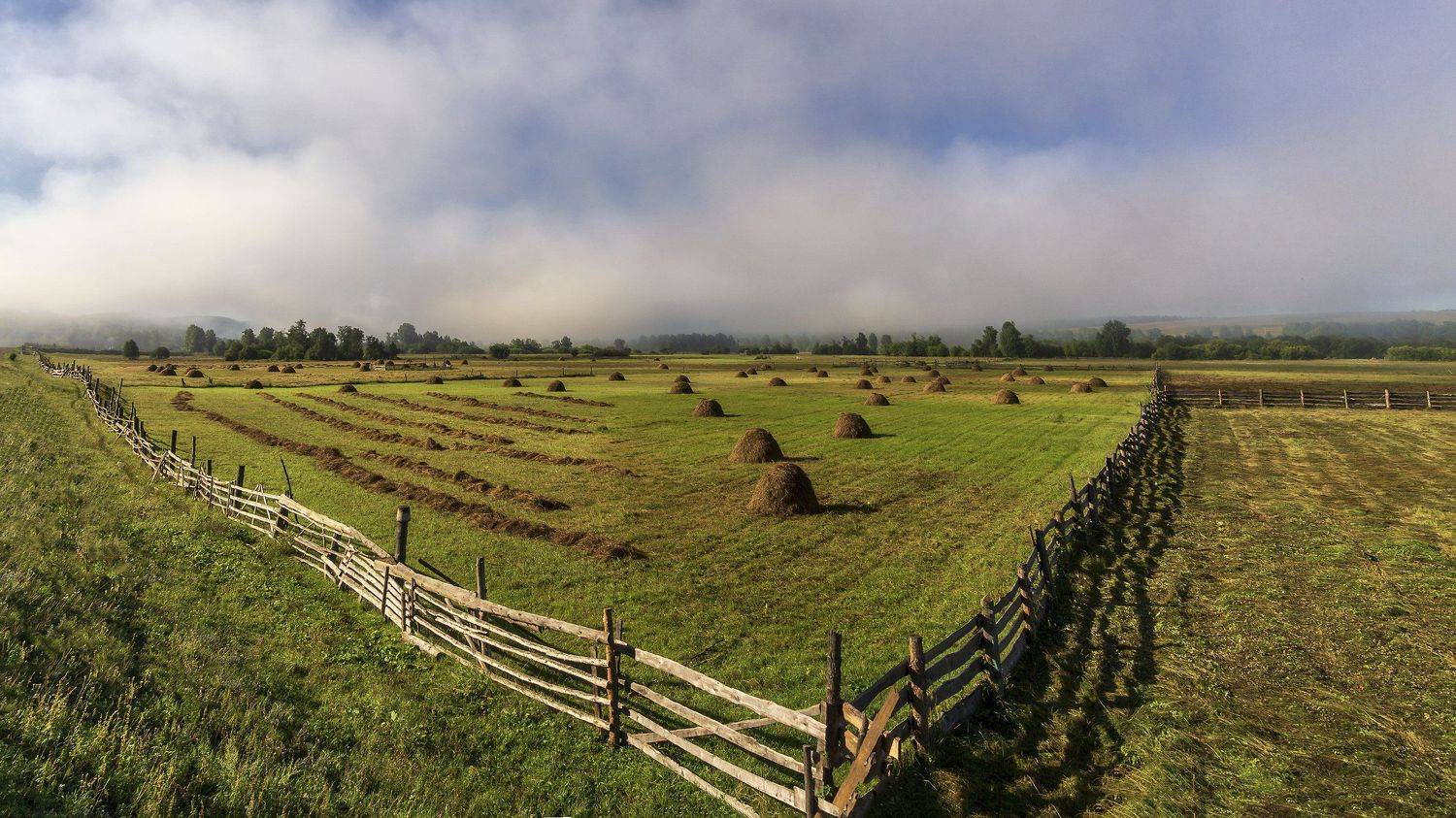 луга, трава, сено, стога, Леонид Максименко