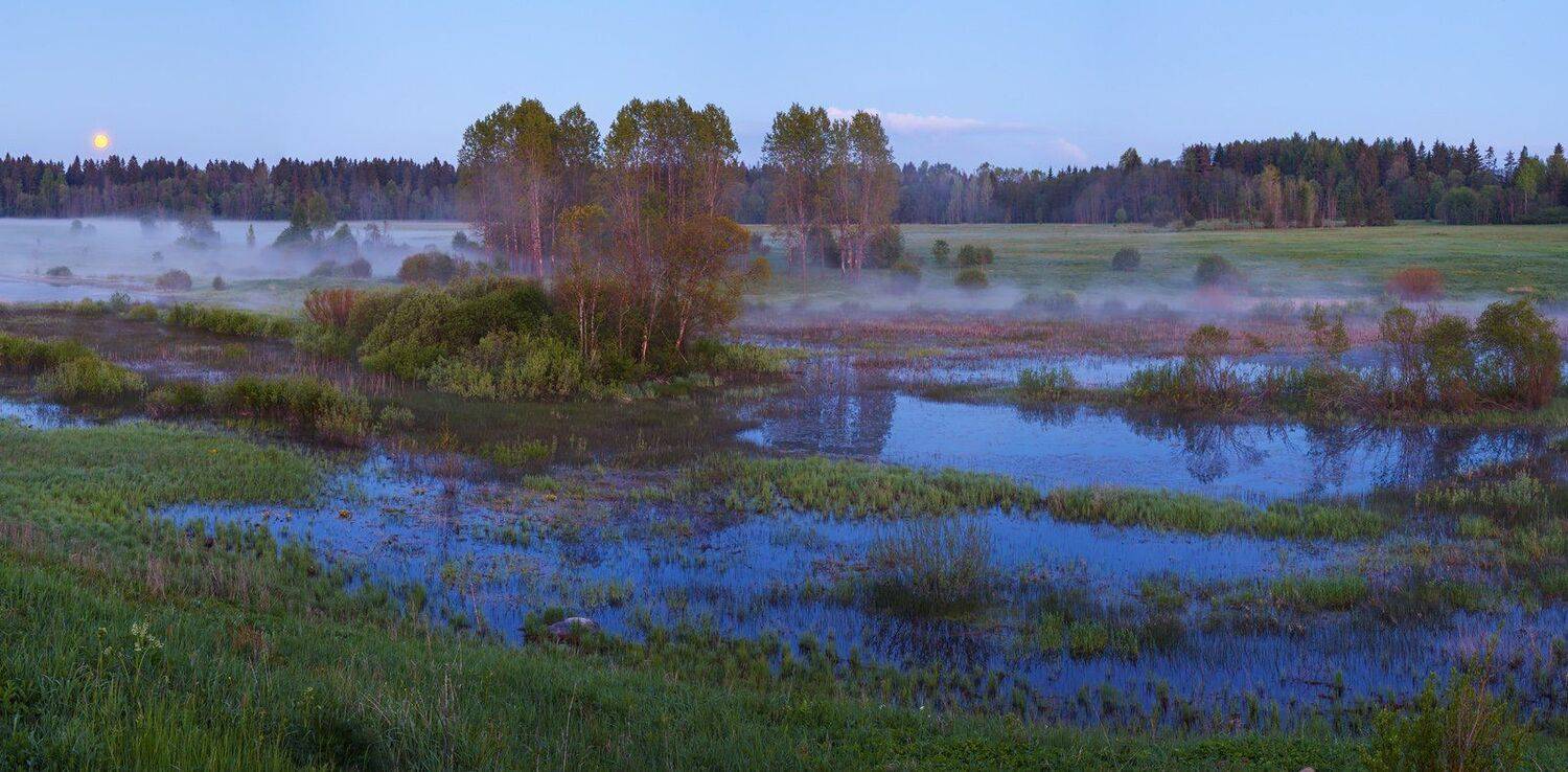ленинградская область, ленобласть, волосовский район, урочище хюльгюзи, болото, Арсений Кашкаров