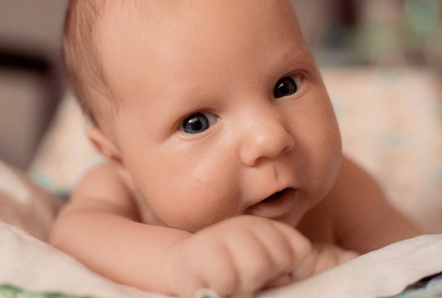 , Илона Дунаева