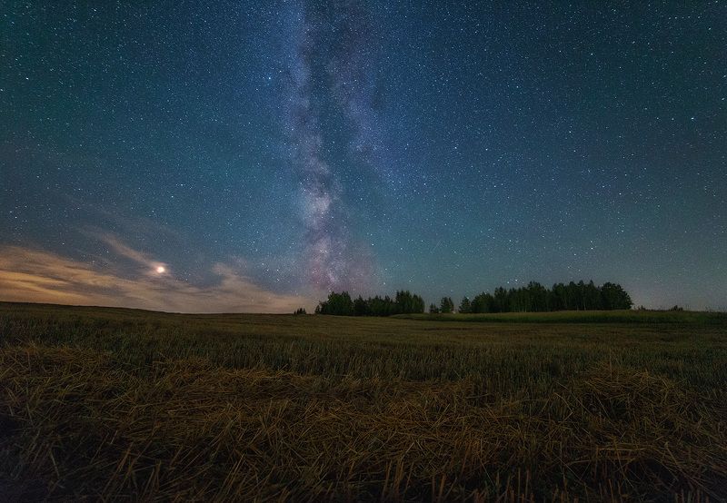 ночь, пейзаж, samyang Под вечными звёздами фото превью