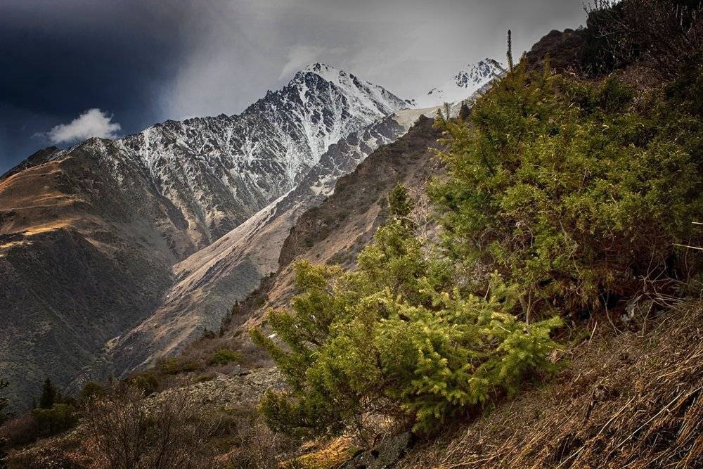 горы, кыргызстан, Элина Магалимова