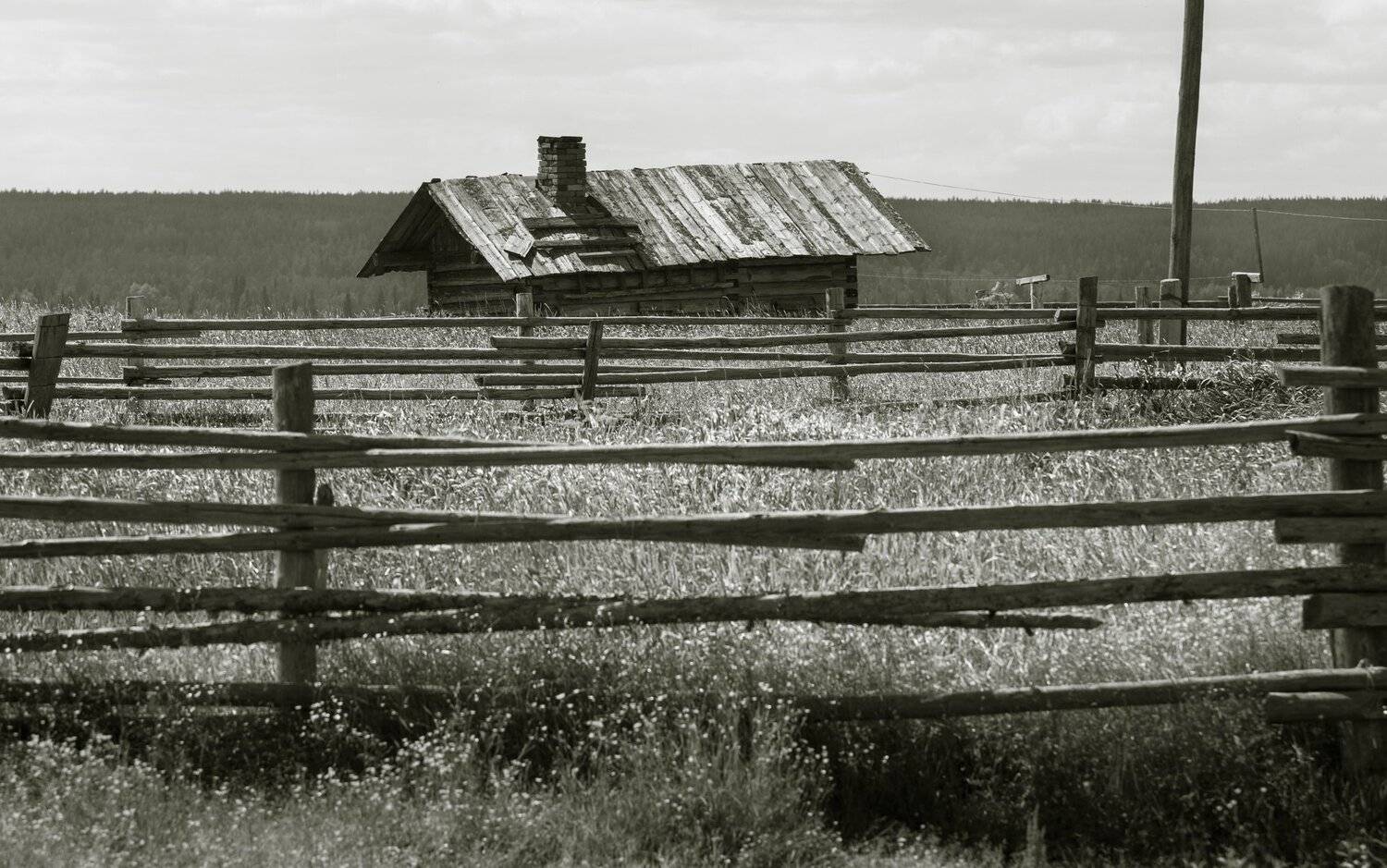 , Федотов Сергей