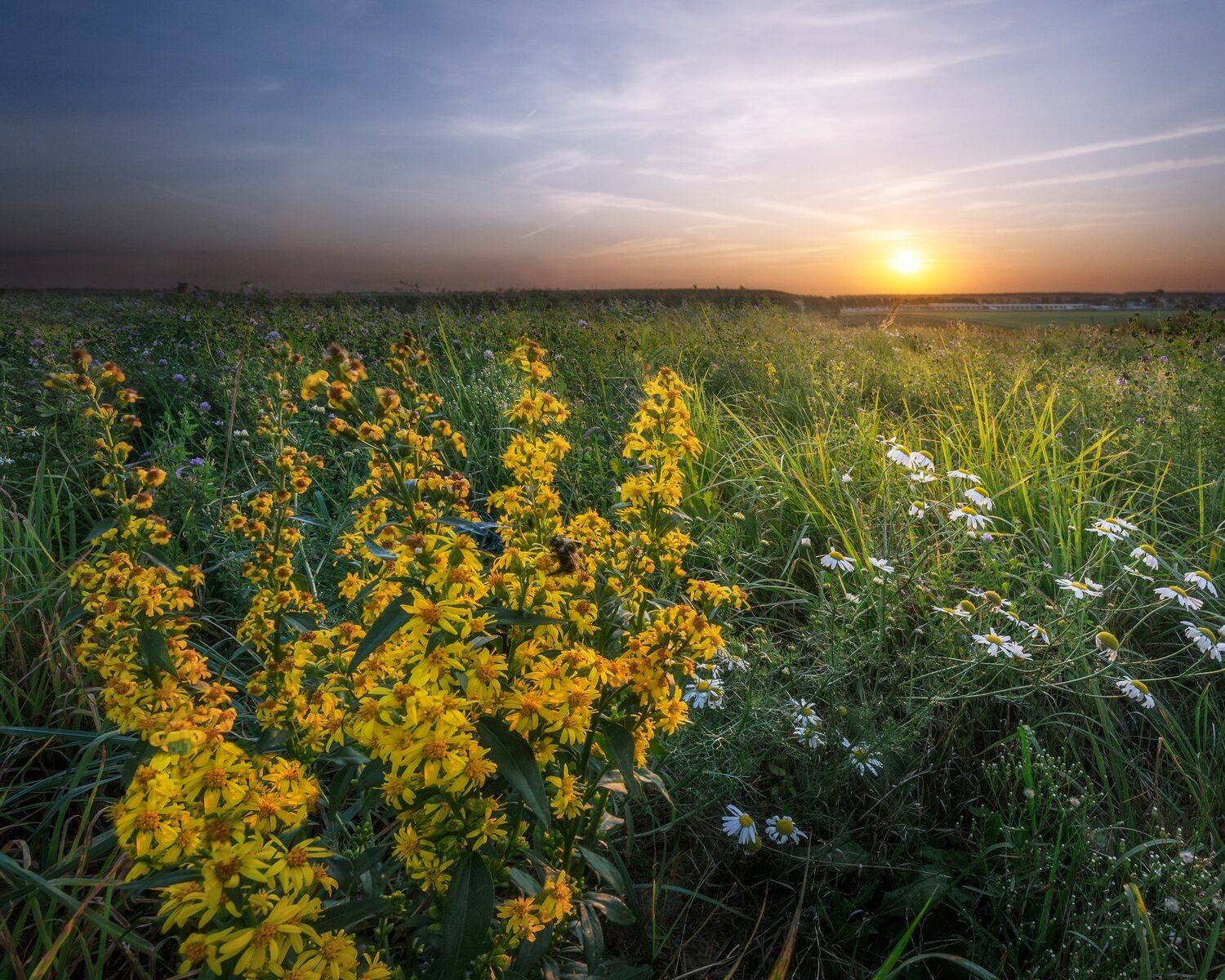 природа, пейзаж, закат, landscape, sunset, russia, россия, Мартыненко Дмитрий