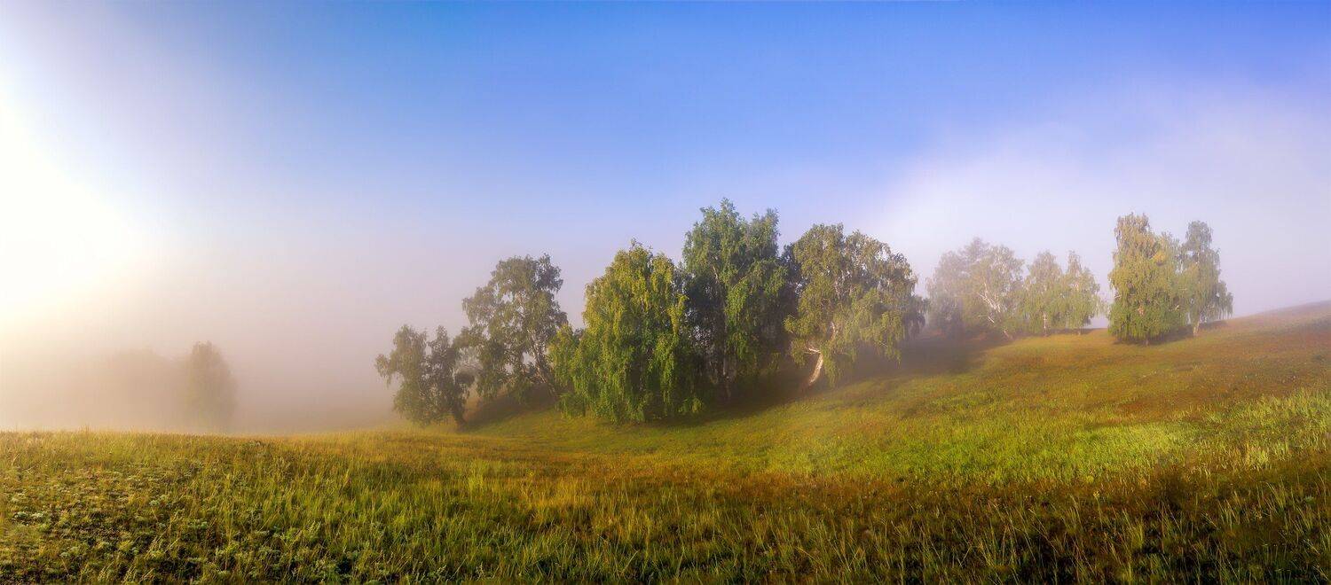 утро, рассвет, восход, туман, лучи, Леонид Максименко