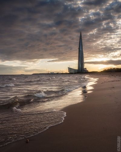На берегу Финского залива
