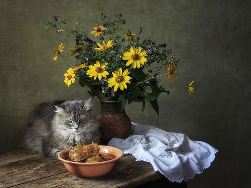 Масяня и Медовый Спас