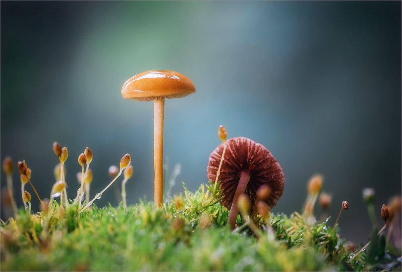 Всё как в жизни... фото превью