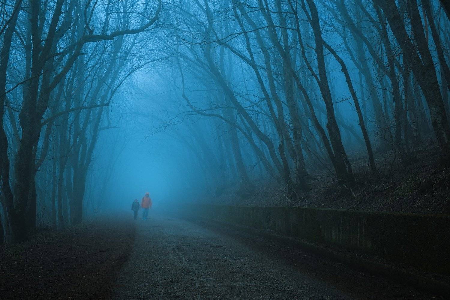 россия, ставропольский край, кавказ, пятигорск, кмв, машук, пейзаж, природа, лес, вечер, закат, туман, весна, сумерки, Оборотов Алексей