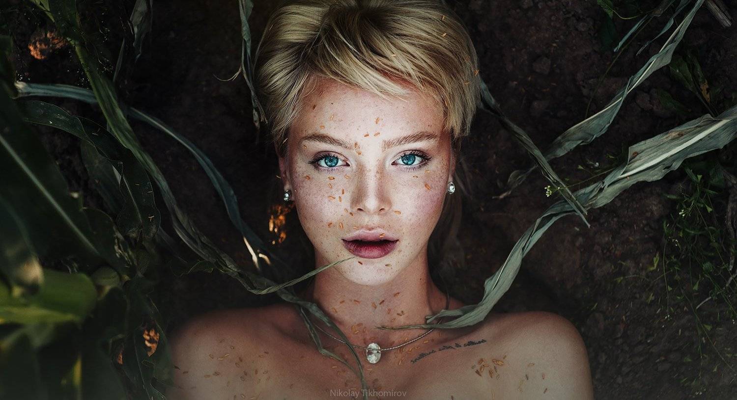 , Тихомиров Николай