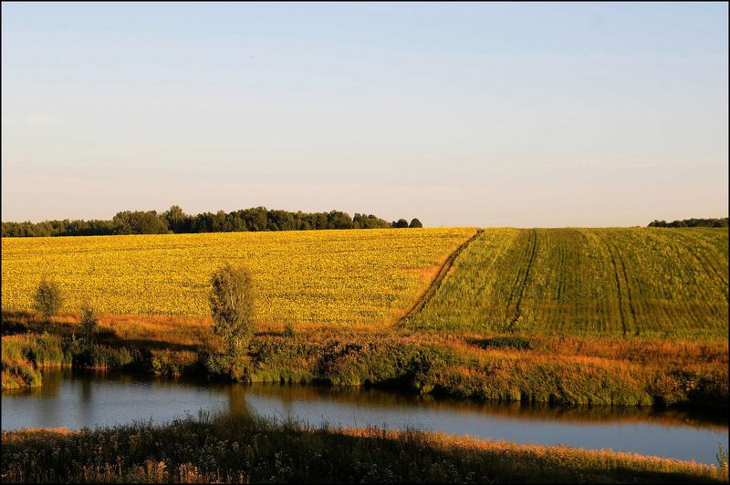 природа поля озера Природа поволжья фото превью